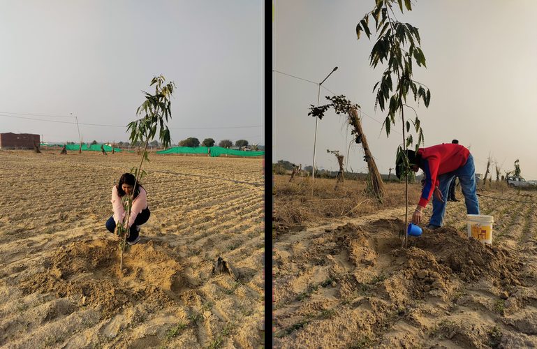 Volunteer planting a sapling during an AAKAAR plantation drive